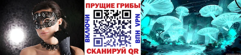 Галлюциногенные грибы мицелий  как найти закладки  hydra ССЫЛКА  Гремячинск 